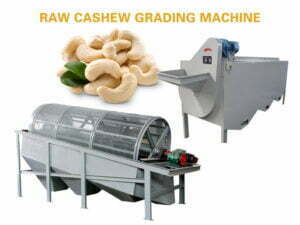 raw cashew nut grading machine